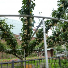 P1000140