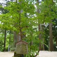 P1000168