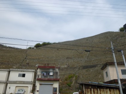 P1000217