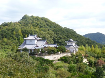 P1000245