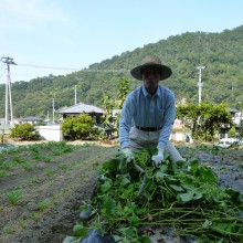 P1000247