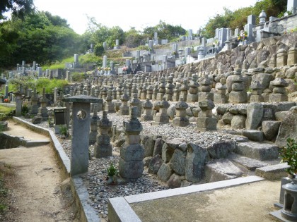 P1000247