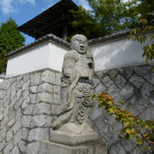 P1000250
