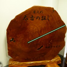 P1000261