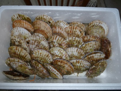 P1000306