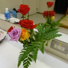 P1000426