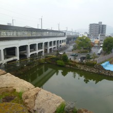 P1000559