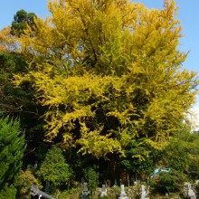 P1000648