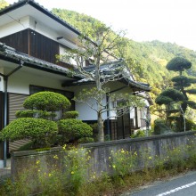 P1000653