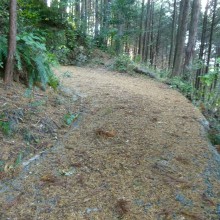 P1000685