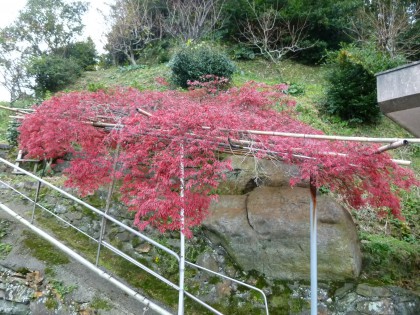 P1000686