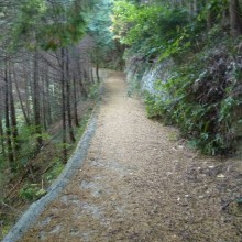 P1000686