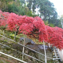P1000694