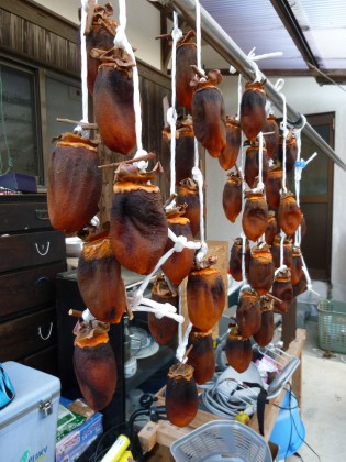 P1000773