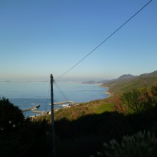 P1000830