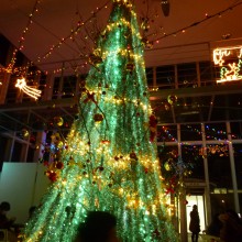 クリスマスツリー