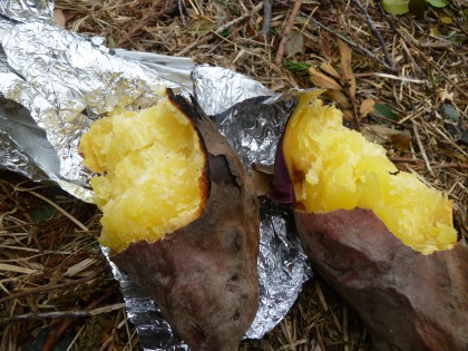 美味しそうに焼けた焼き芋