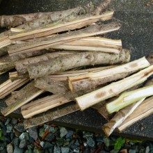 切り揃え割ったオニグイ