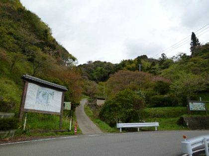 千本目の桜を植えた歌仙の滝