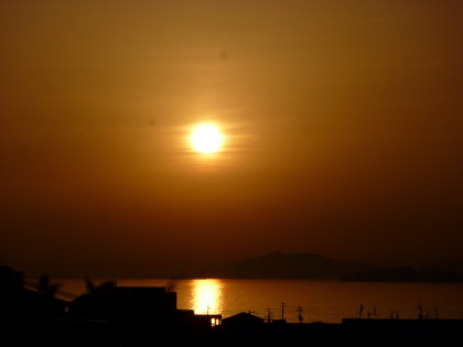 P1010784