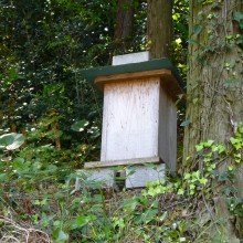 裏山巣箱7号