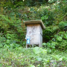 巣箱8号