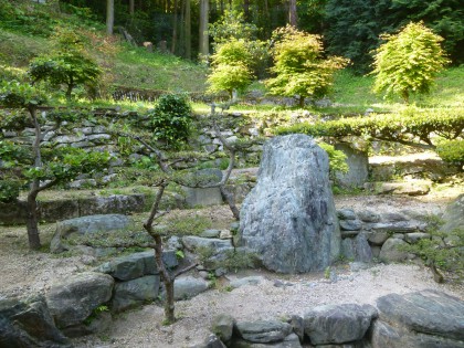 窓から見える中庭の景色