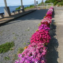 P1020084