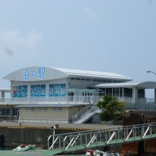 P1020638