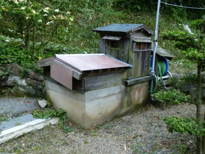 わが家の庭の隅に掘られた井戸