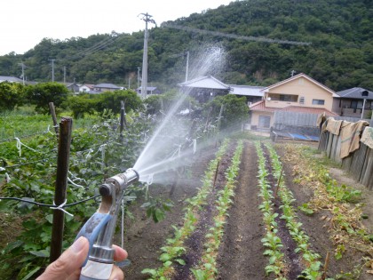 親父の作った水場
