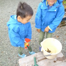 カニに餌をやる孫たち
