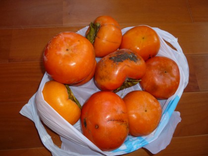 今朝叔母が届けてくれた内子特産の富有柿