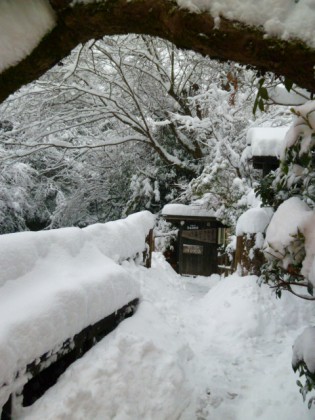 大雪が積った福元屋の玄関先