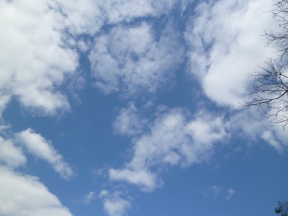 青い空に浮かんだ春の白い雲
