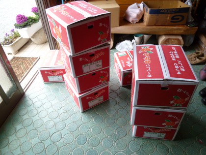 玄関先で荷造りして送ったデコポン