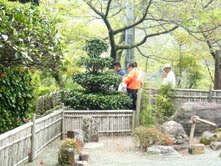 上灘四国1