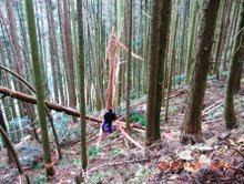 亀本幸三