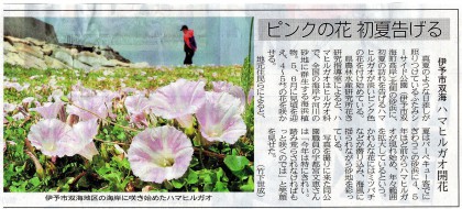 その後、5月15日付け愛媛新聞朝刊7面に掲載された記事