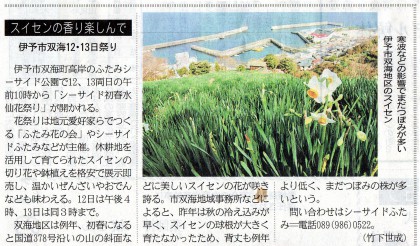 水仙の開花を告げる新聞記事